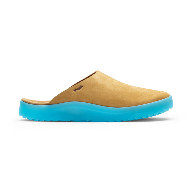 SUNKEN MULE