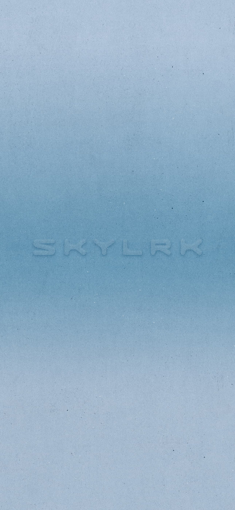 SILVER SKY SKYLRK